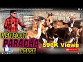 Visited At Paracha house Deer & Ostrich Updates (Jamshed Asmi Informative Channel)  In Urdu/Hindi