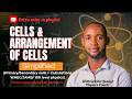 Cells &amp; Arrangement of Cells Made Easy (Primary, Secondary + Calculations) | WAEC/JAMB/100 level Phy