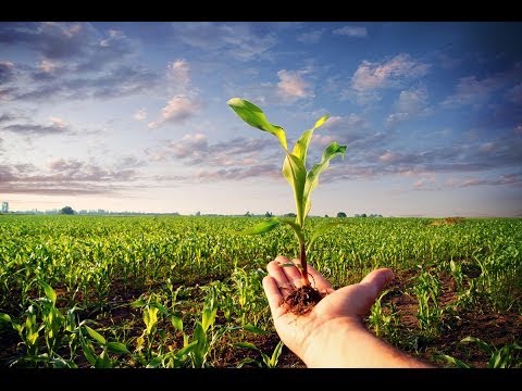 Video: OGM: Pro E Contro