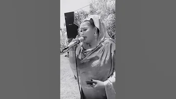 عبير الورد 