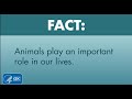 One Health Facts: Animals Play an Important Role in Our Lives