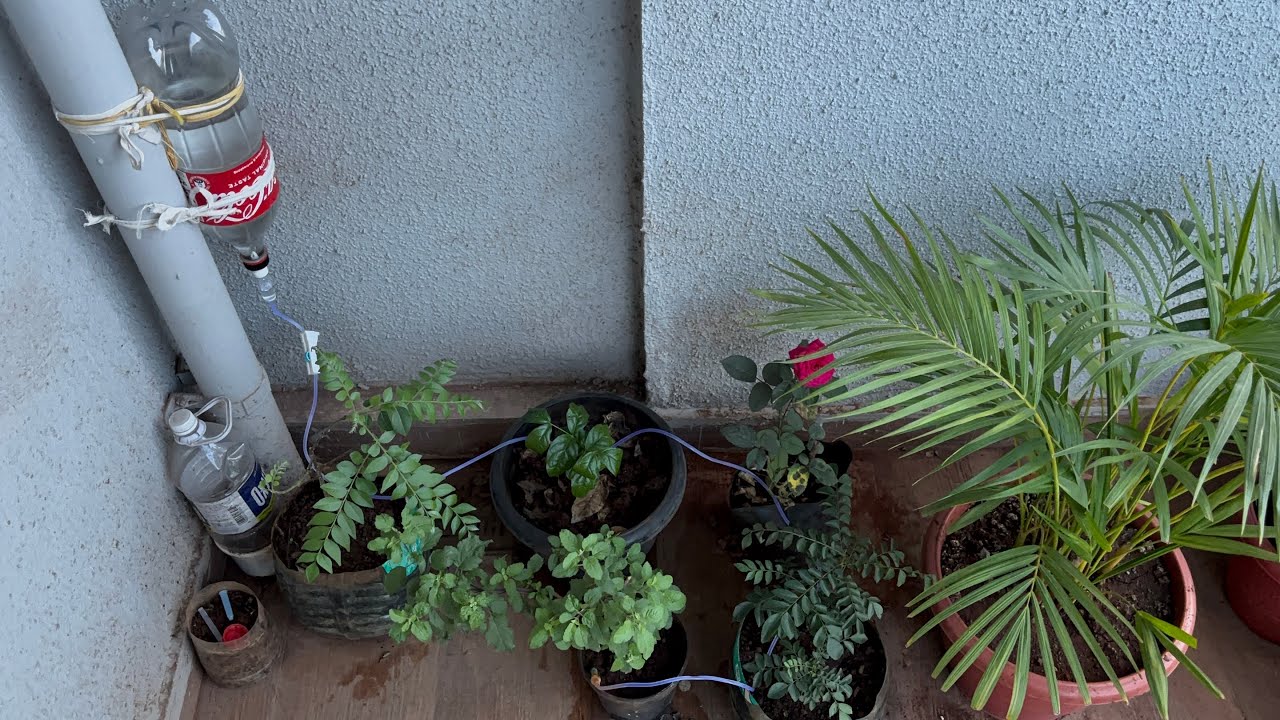[Vlog Style] DIY drip watering💧system How to water the plants🌱 during