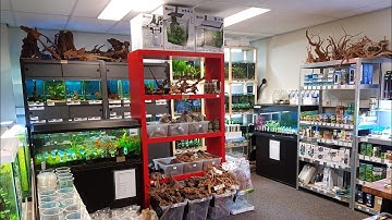 Een update tour van de winkel  Exotic Aquatica | ExoticAquatica.nl