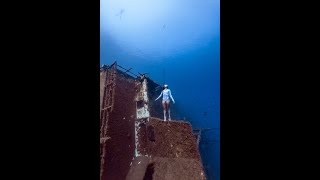 When you ask a professional freediver to pose  #shorts by Daan Verhoeven 8,994 views 1 year ago 1 minute, 1 second