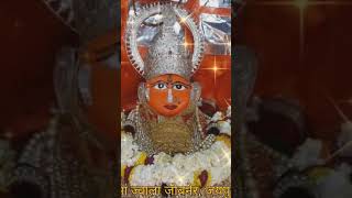 जय मां ज्वाला जोबनेर #jwala #jobner #jaipur #rajasthan #mata #durga #youtubeshorts #shiv #kali