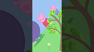 El Veterinario Volador | Peppa Pig en Español #shorts #peppapig #dibujosanimados