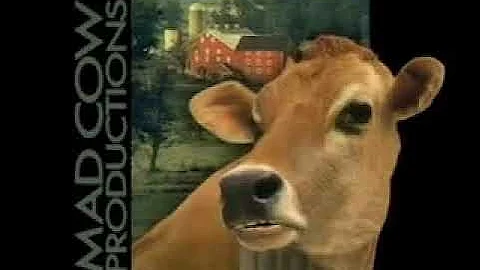 the cow says oh this is bad
