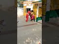 #teacher #shorts उत्तर प्रदेश के विद्यालय में शिक्षिकाओं के बीच मल्ल युद्ध अब यही रह गया था बाकी....