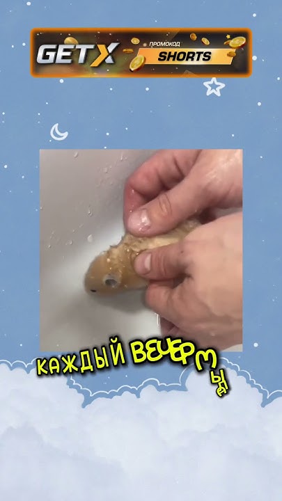 Бедный хомяк😓 - YouTube
