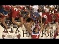 France: Field Level Highlights June