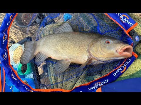 Video: Ar galima skraidinti žuvį su įprasta meškere?