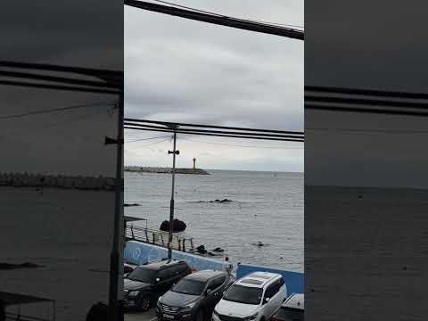 바람wind · 장씨해녀집 기장맛집 유튜브 후기 썸네일