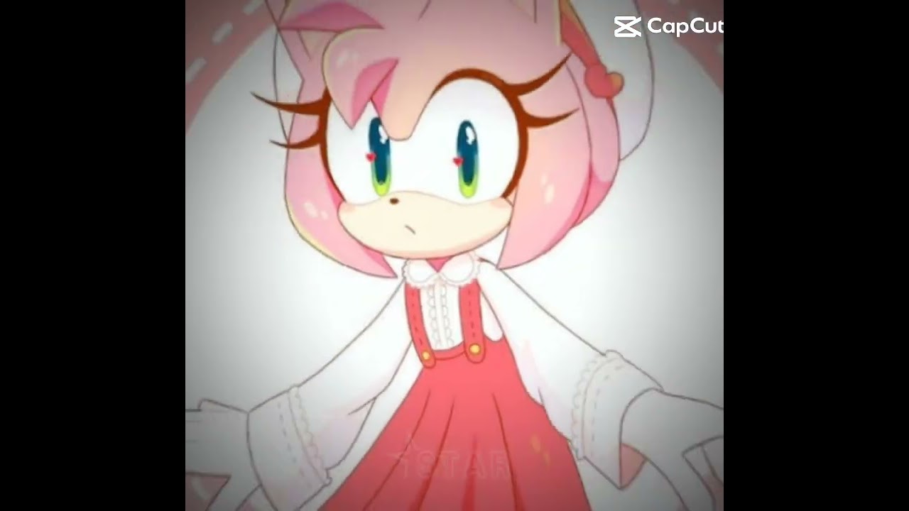 Sonic and Amy rose edit 🩷💙 
