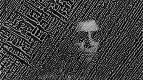 DVD「ラ・ジュテ -HDニューマスター版-」予告編