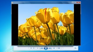 How to Create Slideshow With Windows Media Player. screenshot 5
