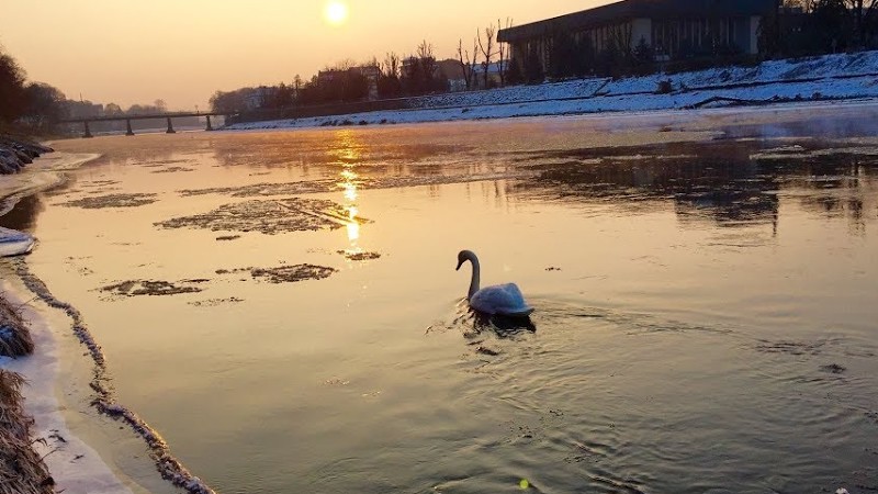Ігор Білозір - Це Не Яблуні Цвіт(Перший Сніг)