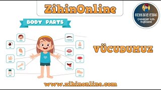 İngilizce Vücut Leri Body Parts Zihinonline Resimi