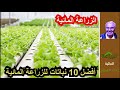 افضل 10 نباتات للزراعة المائية 
