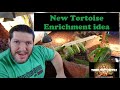 New Tortoise Enrichment Idea