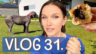 #31 VLOG 🤪 | Zverinec, IKEA, Sephora, večerná rutina a sme bez elektriny 🏠