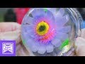 Gelatin Flower Art | Nice Content | Tatered