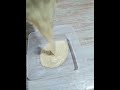 membuat nugget pisang yang lembut didalam dan cruncy di luar #pisang #nuggets #camilanviral