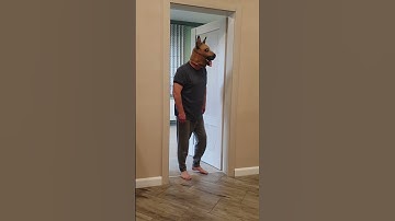 Thumbnail of Funny dog barks from behind the door, Marble Truck