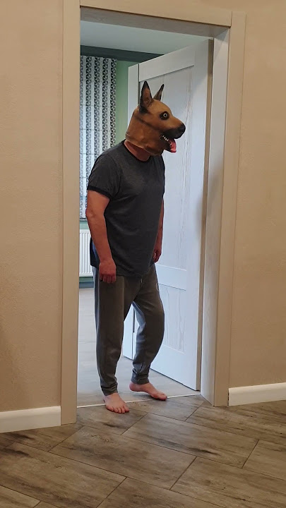 Funny dog barks from behind the door, Marble Truck