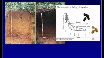Biochar Basics