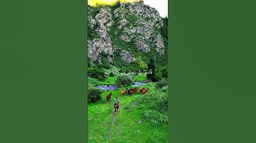 { يا أيها الذين آمنوا إذا نودي للصلاة من يوم الجمعة فأسعوا إلى ذكر الله وذروا البيع }   #سورة_الجمعة