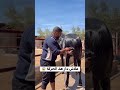 علاش دار هذا الحركة الخيول العربية الاصيلة اكسبلور العريفي النظافه