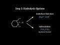 Master Gabriel Phthalimide Amine Synthesis Instantly | Class 12 Chemistry | Vision Solve