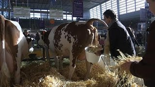 Salon de l'agriculture: que devient la bouse des vaches?