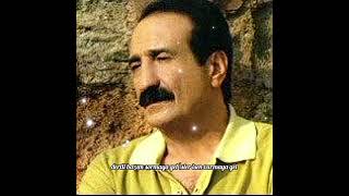 Seyfi Doğanay Arada Bir