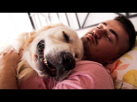 how-my-dog-sleeps-with-me-in-bed