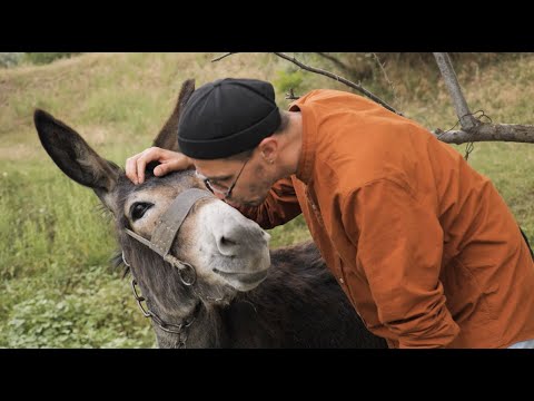 Tourist in Moldova: episode 3 (adventures in southern Moldova)