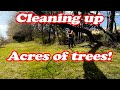 Cleaning up Tree Rows and Falling Trees!