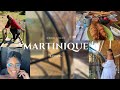 Vlog martinique   on dcouvre un lieu so good 1