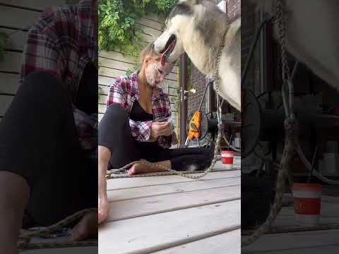 Videó: 3 módja a jógának kutyával