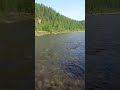 #shorts Дуплет на рыбалке