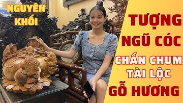 Thiềm thừ từng là yêu quái? Cùng tìm hiểu Tượng Thiềm Thừ chấn chum tài lộc gỗ Hương Gia Lai