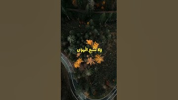 {وَلا تَتَّبِعِ الْهَوَى فَيُضِلَّكَ عَن سَبِيلِ اللَّهِ } تلاوة هادئه الشيخ سعود الشريم | سورة ص