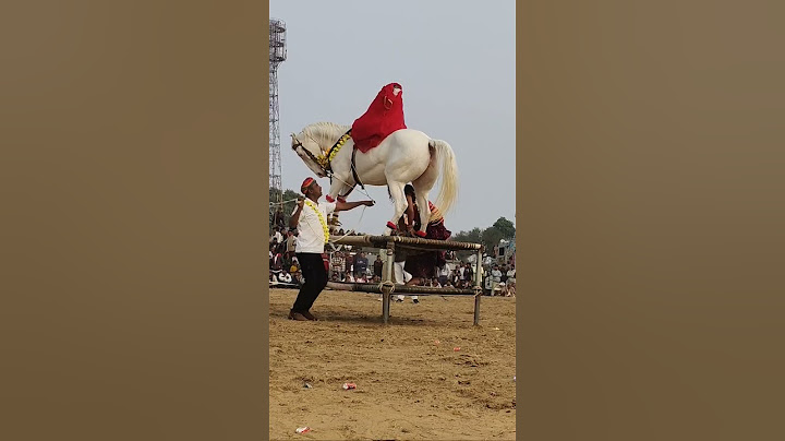 horse dance ###horselover ###viralvideo ####dancemusic ###dancesong