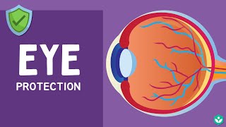 Eye Protection | Sense organs | Class 9 | Biology | Telangana | Khan Academy