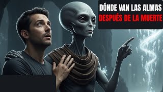 El Alienígena Me Mostró Adónde Van Las Almas Después De La Muerte
