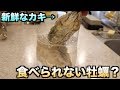 【実験】東京湾のカキを絶対食べてはいけない理由がわかる動画