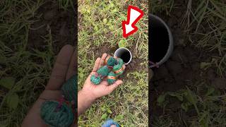 Ye Hole Me Daalte Hi Jo Hua 😱| Must Watch Till End #shorts