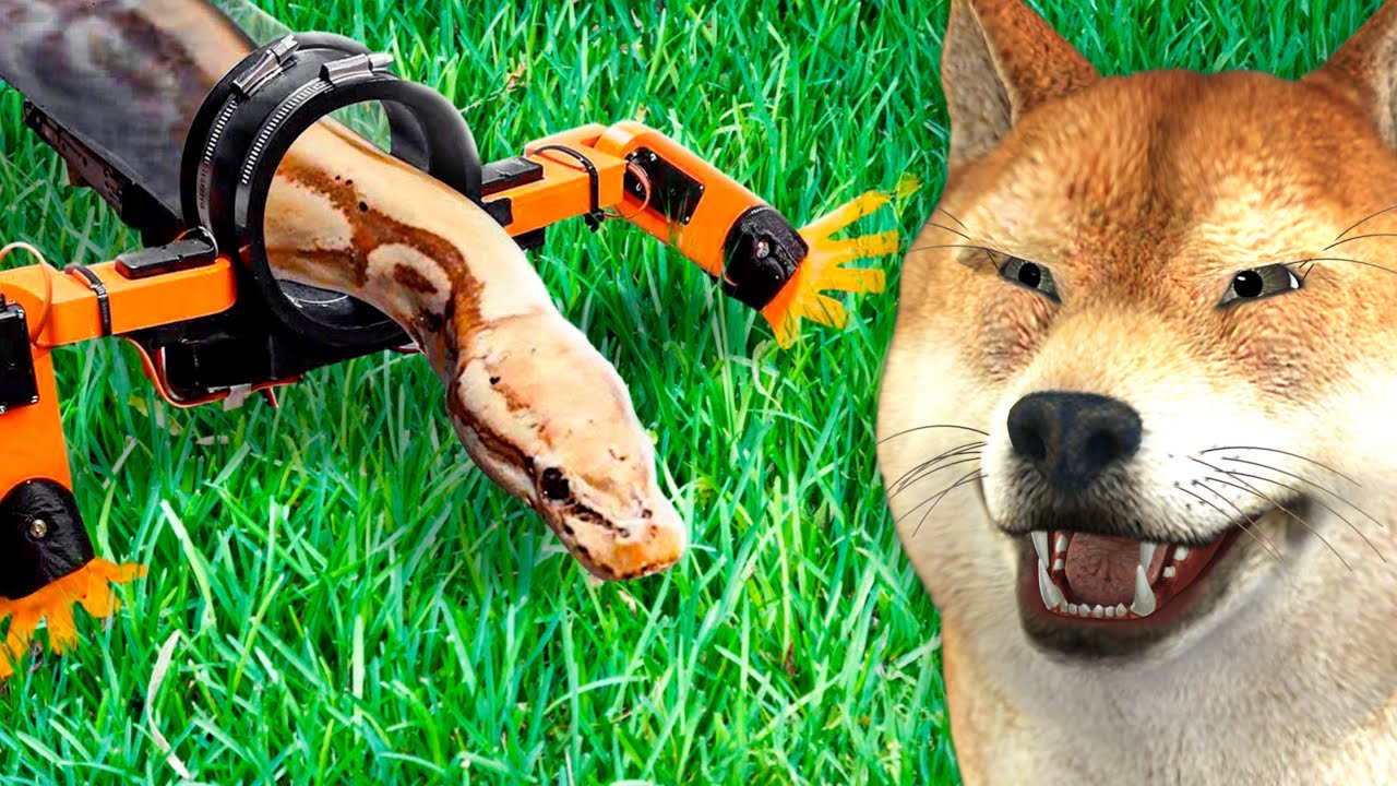 As MELHORES e PIORES invenções do mundo!