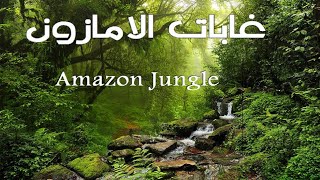 غابات الامازون Amazon Jungle