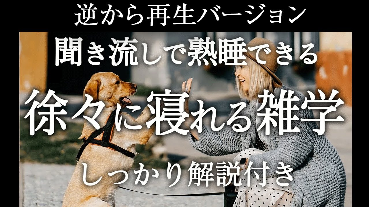【逆から再生】徐々に寝れる雑学【睡眠導入】しっかり解説付き♪